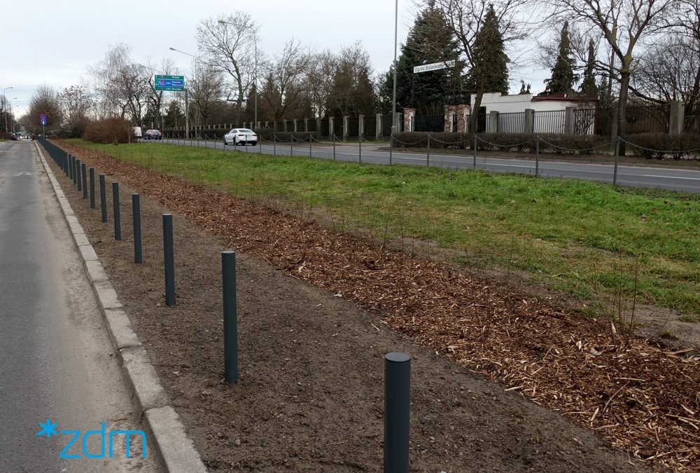 Zasadzone drzewa na ogrodach Poznań