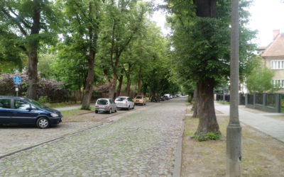 Uliczki naszego osiedla (część I ) – ul. Botaniczna