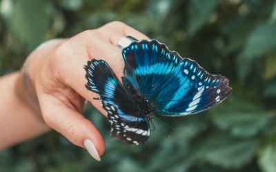 Mieszkańcy Ogrodów aktywnie dbają o  środowisko