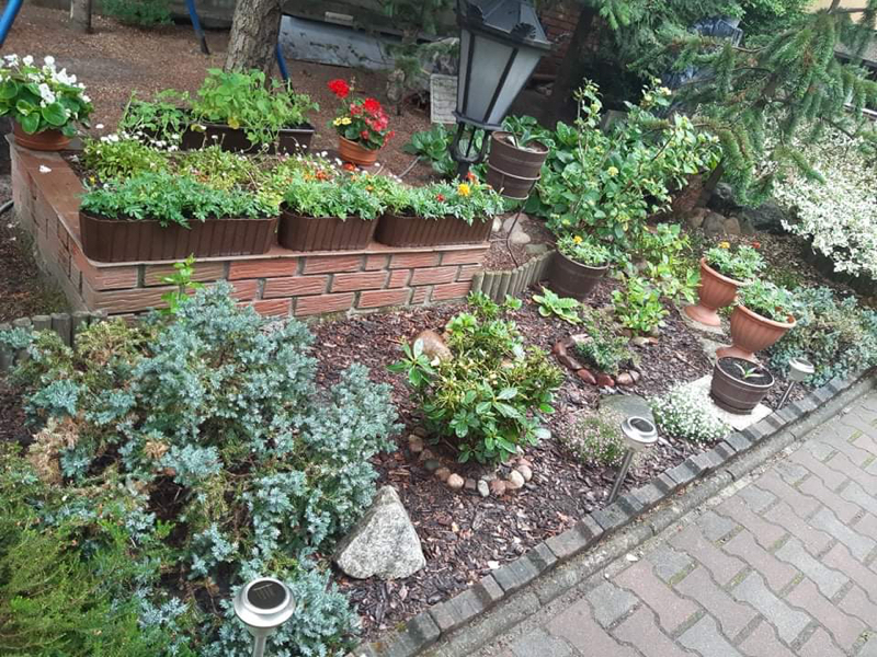 Zielony Poznań Ogrody 2020