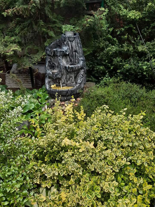 Zielony Poznań Ogrody 2020