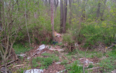 Nielegalne wysypisko śmieci nad Rusałką zlikwidowane