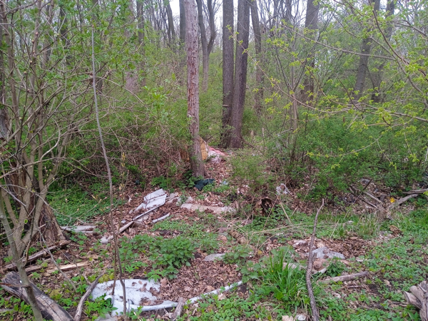 Rada Osiedla Osiedle Ogrody Poznań śmieci nad Rusałką