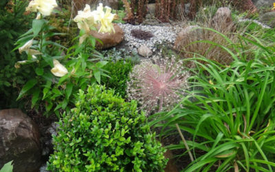 28 edycja konkursu „Zielony Poznań”