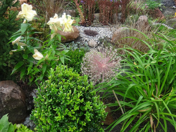 Rada Osiedla Osiedle Ogrody Poznań konkurs Zielony Poznań