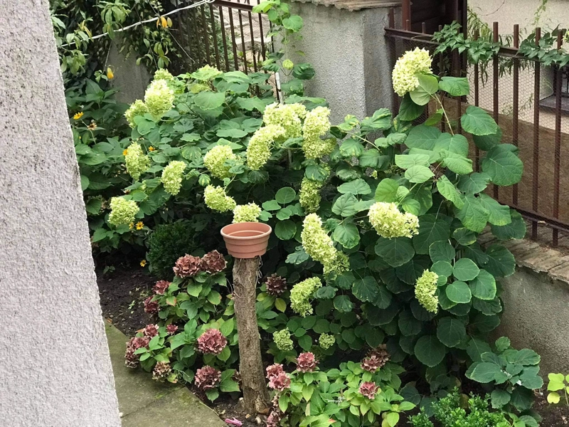 Rada Osiedla Ogrody Osiedle Ogrody Poznań Zielony Poznań 4