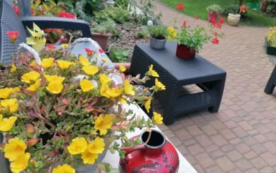 Zapraszamy do udziału w konkursie „Zielony Poznań”