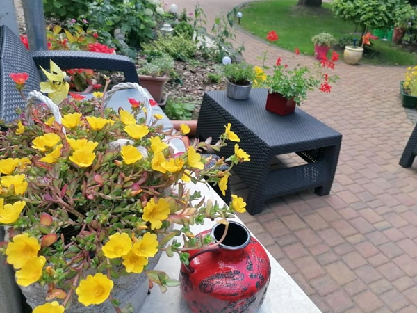 Konkurs Zielony Poznań