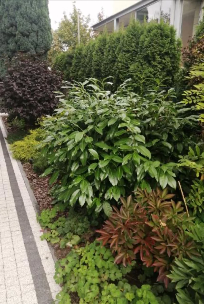 Konkurs Zielony Poznań 2023 E