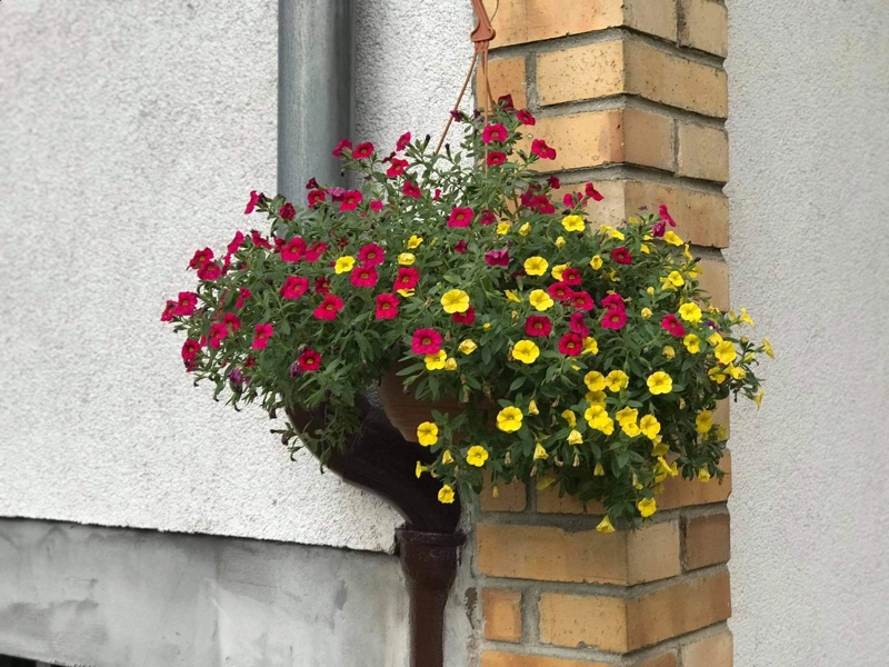 Konkurs Zielony Poznań 2023 F