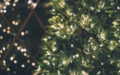 Życzenia Świąteczne i Noworoczne