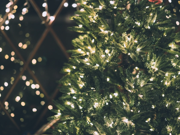 Rada Osiedla Ogrody Poznań Osiedle Ogrody Święta 2023 Życzenia